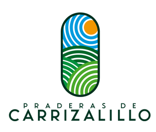 Logo Carrizalillo